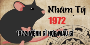 1972 mệnh gì hợp màu gì