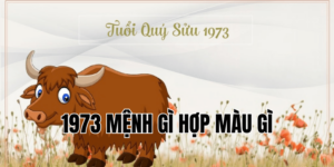 1973 mệnh gì hợp màu gì