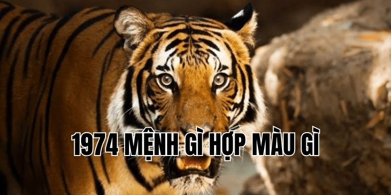 1974 mệnh gì hợp màu gì