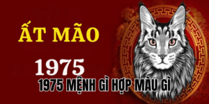 1975 mệnh gì hợp màu gì