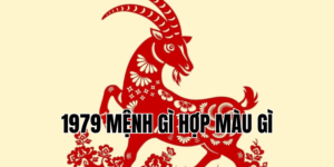 1979 mệnh gì hợp màu gì