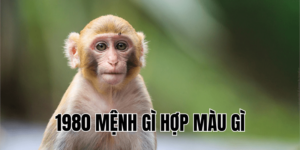 1980 mệnh gì hợp màu gì