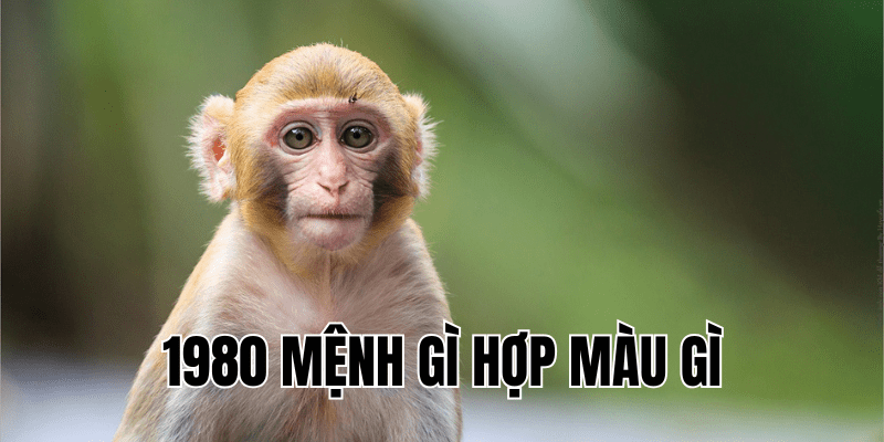 1980 mệnh gì hợp màu gì