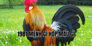 1981 mệnh gì hợp màu gì