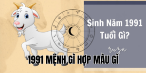 1991 mệnh gì hợp màu gì
