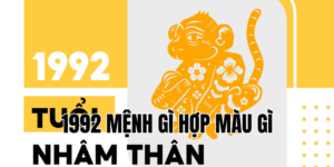 1992 mệnh gì hợp màu gì