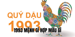 1993 mệnh gì hợp màu gì