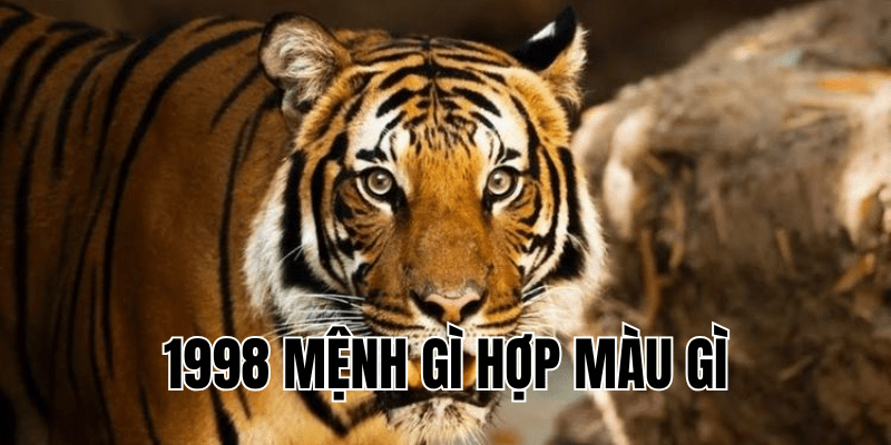 1998 mệnh gì hợp màu gì