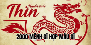 2000 mệnh gì hợp màu gì