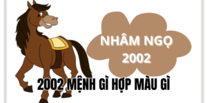 2002 mệnh gì hợp màu gì