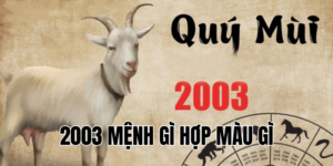 2003 mệnh gì hợp màu gì