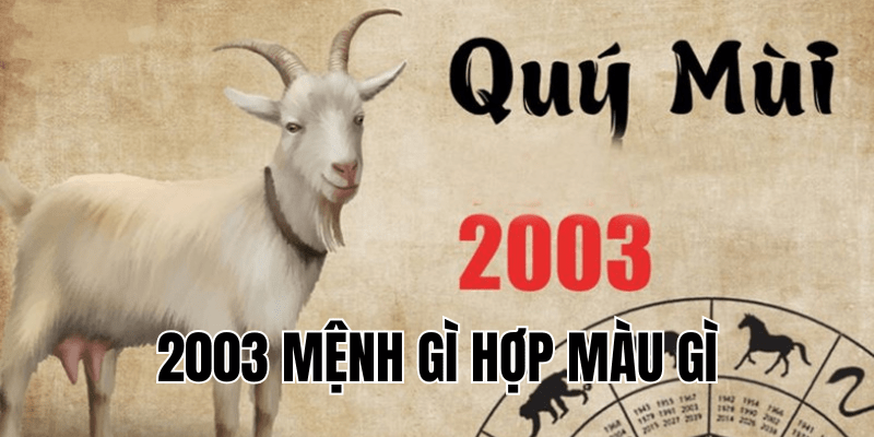 2003 mệnh gì hợp màu gì