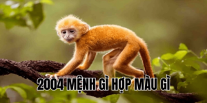 2004 mệnh gì hợp màu gì