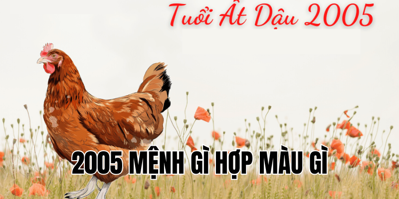 2005 mệnh gì hợp màu gì