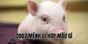 2007 mệnh gì hợp màu gì