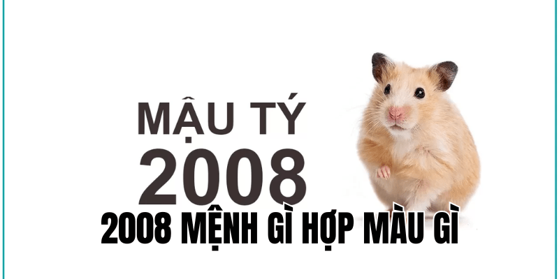 2008 mệnh gì hợp màu gì