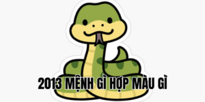 2013 mệnh gì hợp màu gì