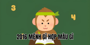 2016 mệnh gì hợp màu gì