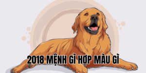 2018 mệnh gì hợp màu gì
