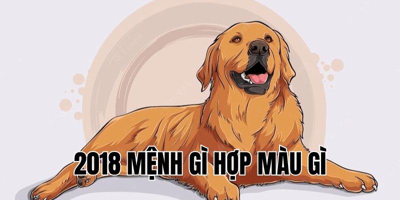 2018 mệnh gì hợp màu gì