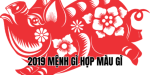 2019 mệnh gì hợp màu gì