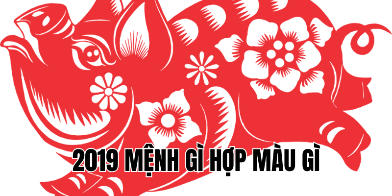 2019 mệnh gì hợp màu gì