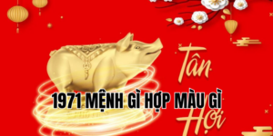 Ảnh Thumb bài viết