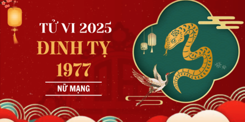 Chi Tiết Tử Vi Tuổi Đinh Tỵ Năm 2025 Nữ Mạng Theo Từng Phương Diện