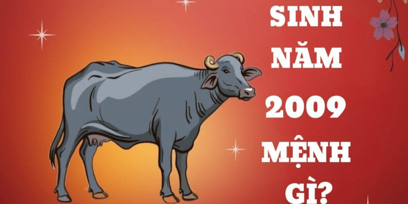Chi Tiết Về Vận Hạn Của Nữ Mạng Kỷ Sửu Năm 2025