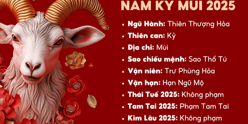 Chi tiết vận trình tử vi tuổi Kỷ Mùi năm 2025 nam mạng