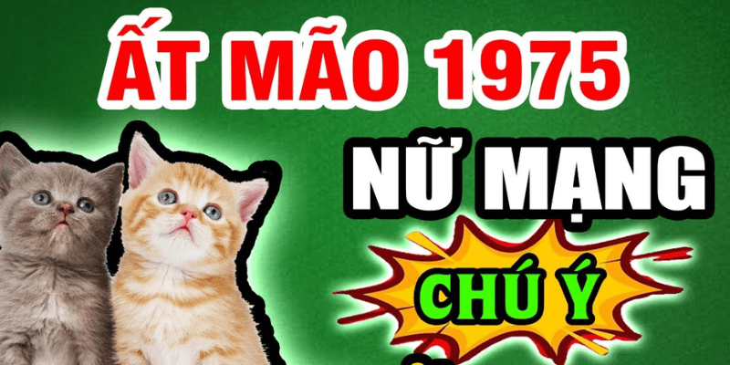 Hóa giải sao hạn năm 2025 cho nữ mạng Ất Mão