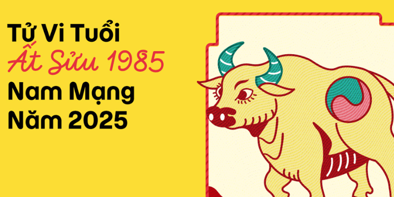 Luận Giải Chi Tiết Các Phương Diện Trong Năm 2025