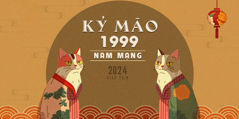 Luận Giải Chi Tiết Các Phương Diện Trong Năm 2025