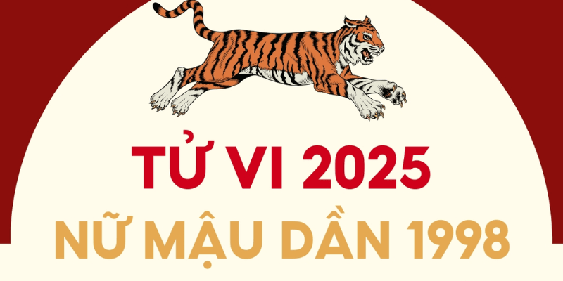 Luận Giải Chi Tiết Các Phương Diện Trong Năm 2025