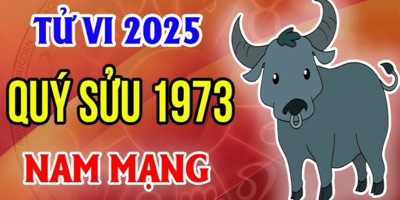 Luận Giải Chi Tiết Các Phương Diện Trong Năm 2025