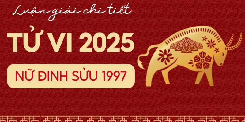Luận Giải Chi Tiết Các Phương Diện Trong Năm 2025