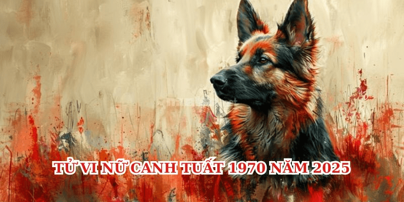 Luận Giải Chi Tiết Các Phương Diện Trong Năm 2025