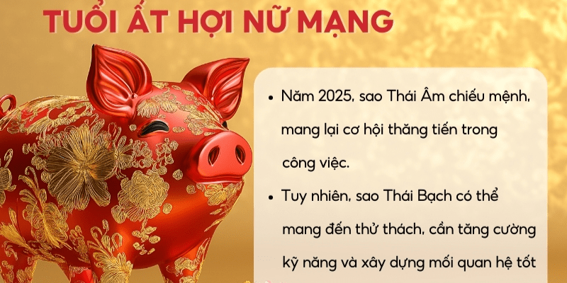 Luận Giải Chi Tiết Các Phương Diện Trong Năm 2025