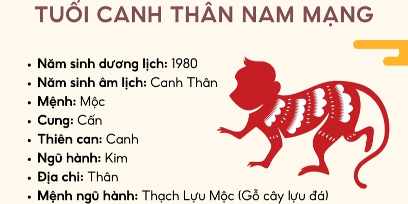 Luận Tử Vi Tuổi Canh Thân Năm 2025 Nam Mạng Theo Từng Tháng