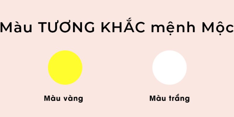 Màu sắc kỵ với mệnh Mộc