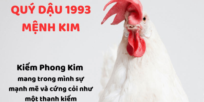 1993 mệnh gì hợp màu gì? Chọn màu hợp theo từng nhu cầu cụ thể