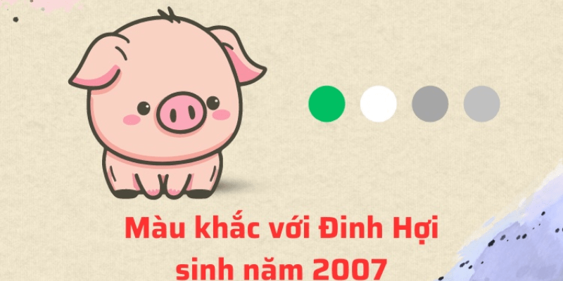 Nam và nữ tuổi Đinh Hợi 2007 hợp màu gì riêng biệt
