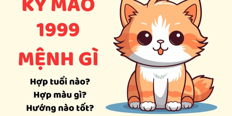 Những người 1999 mệnh gì hợp màu gì