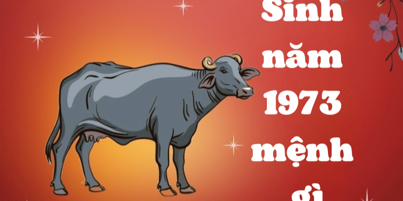 Những người sinh năm 1973 mệnh gì hợp màu gì
