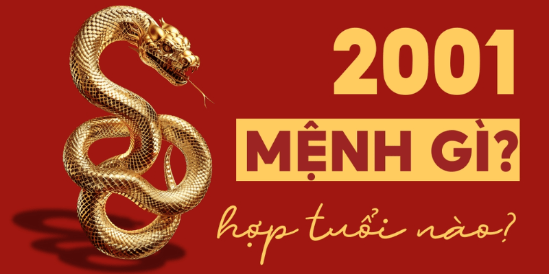 Những người sinh năm 2001 mệnh gì hợp màu gì