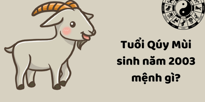 Những người sinh năm 2003 mệnh gì hợp màu gì