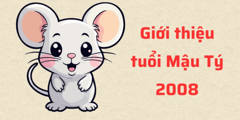 Những người sinh năm 2008 mệnh gì hợp màu gì