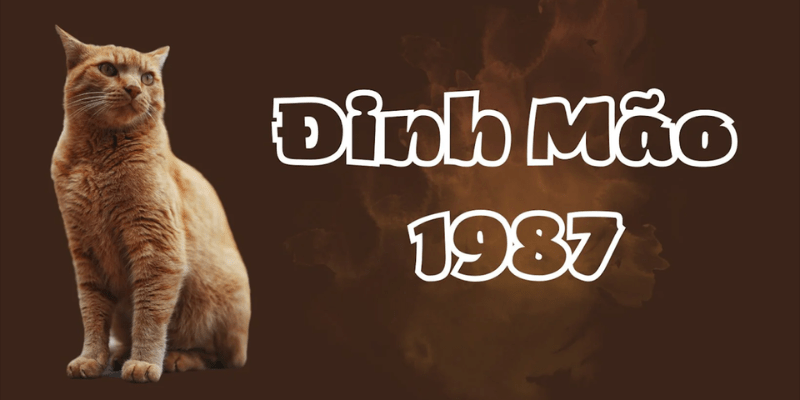 Tài lộc của nam mạng tuổi Đinh Mão 1987 trong năm 2025