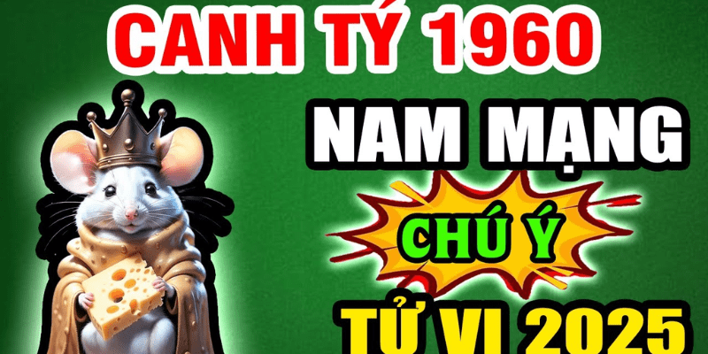 Tổng Quan Tử Vi Tuổi Canh Tý 1960 Nam Mạng Năm 2025