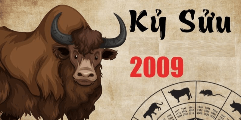 Tổng Quan Tử Vi Tuổi Kỷ Sửu 2009 Nữ Mạng Năm 2025